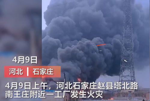 王庄最新爆料消息新闻,揭秘事件背后惊人真相  第3张